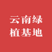 云南绿植基地