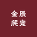 金辰爬宠