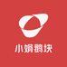 小娟子固始鹅块