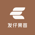 发仔果苗