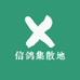 信鸽集散地