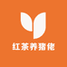 红茶养猪佬