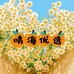 晴海好物优选