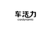 车活力cardynamic车小二汽车用品专卖店