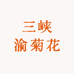 三峡渝菊花