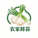农家鲜蒜
