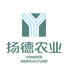 扬德黑土猪小时达