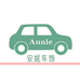Annie安妮车饰