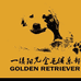 一缕阳光金毛犬舍