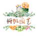 妍帆园艺多肉馆