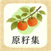 原籽集