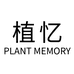 植忆植物精油