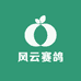 风云赛鸽