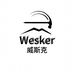 威斯克Wesker