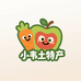 小韦土特产
