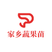 家乡蔬果苗