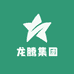 龙腾集团董事