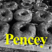 潘西实验室PenceyLab