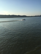 文雅收藏馆个体店