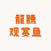 龍腾观赏鱼