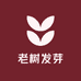 树发芽