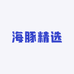 海豚精选2号