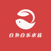 自鱼自乐水族