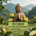 四川园创佛手种植基地
