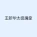 王新华太极擒拿