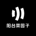 阳台菜园子