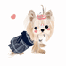 CarefreePet
