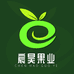 宸昊果业度尾红心文旦柚