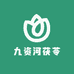 九资河茯苓