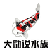 大励说水族