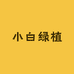 南靖县山城镇王梅花卉店