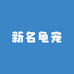 新名龟宠