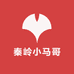 秦岭小马哥