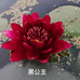 御花缘莲苑