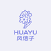 HUAYU风信子