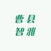 曹县智雅服饰