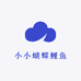 小小蝴蝶鲤鱼