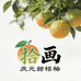 庆元黄坛甜桔柚