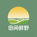 田间鲜野