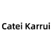 CateiKarrui越程专卖店