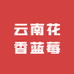 云南花香蓝莓