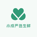 小成严选生鲜店