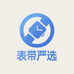 圆圈表带严选店