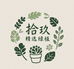 拾玖精选绿植