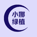 小娜绿植