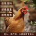 上海溢蜜园崔健农产生活坊